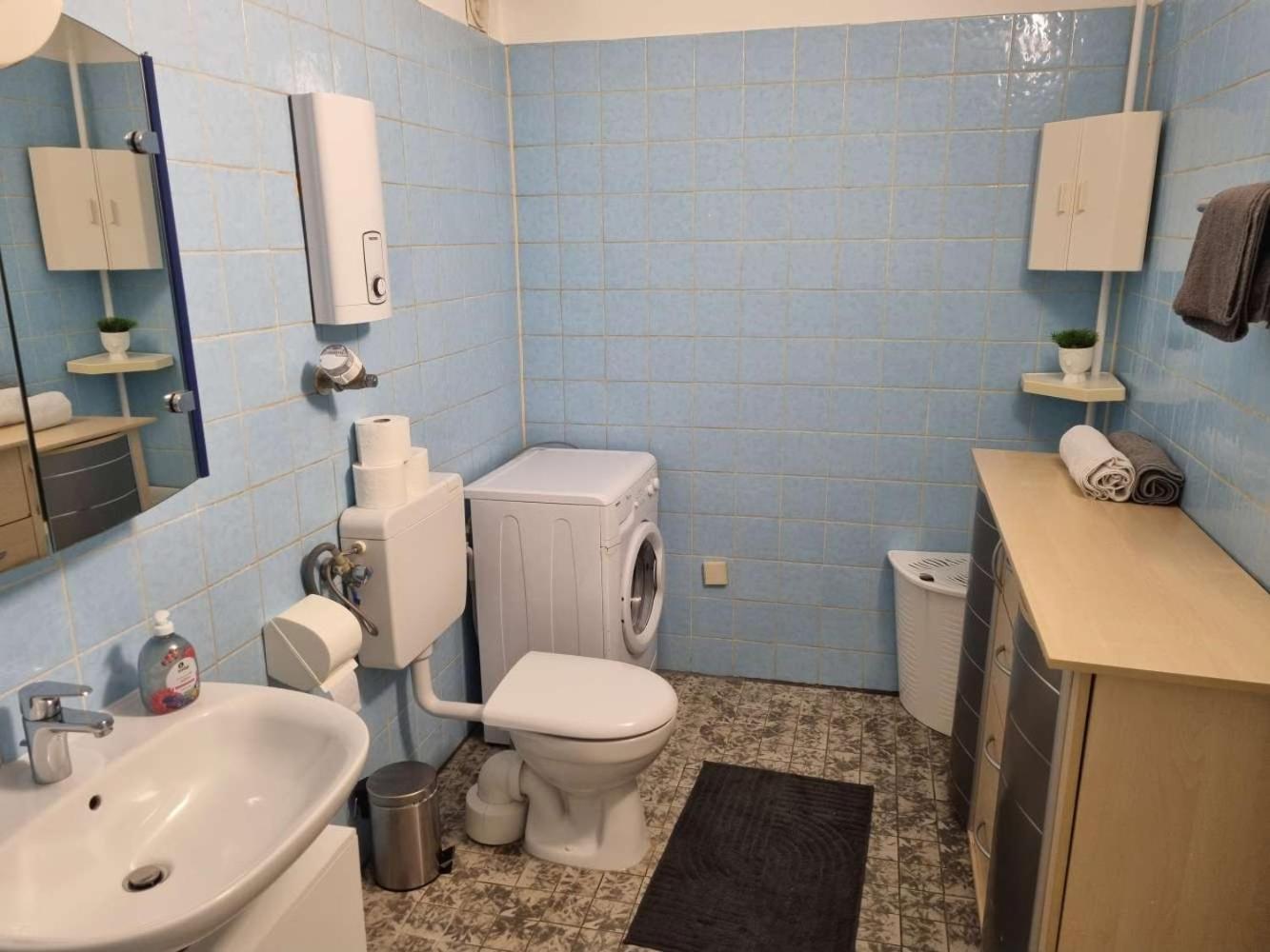 Apartments In Hattersheim Okriftel 외부 사진